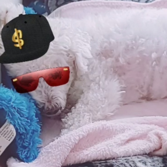 Meet your Posher, Brooke - Picture 6 of 8